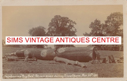 Antique postcard rppc - antique,