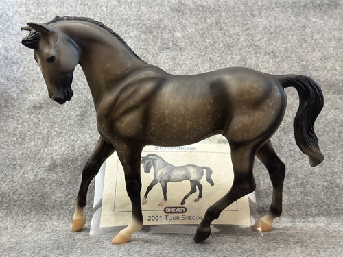 Breyer sr2001 storm chaser - "storm, chaser"