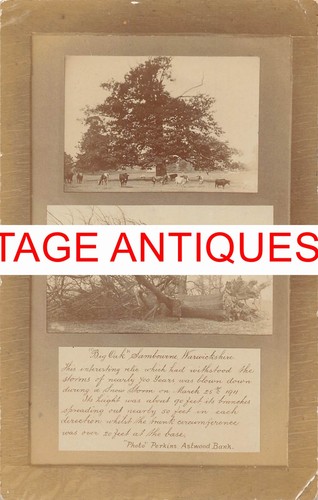 Antique postcard rppc - antique,